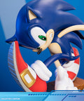 Sonic Adventure - Sonic the Hedgehog PVC (Collector's Edition) (sonicavt_ce_13.jpg)