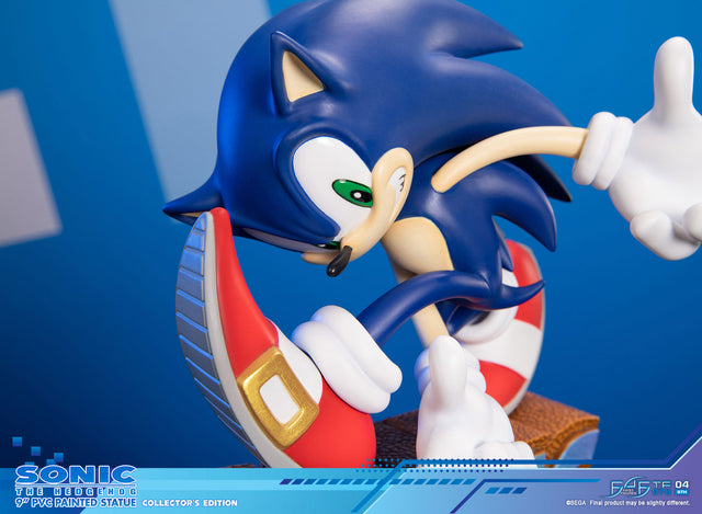 Sonic Adventure - Sonic the Hedgehog PVC (Collector's Edition) (sonicavt_ce_13.jpg)