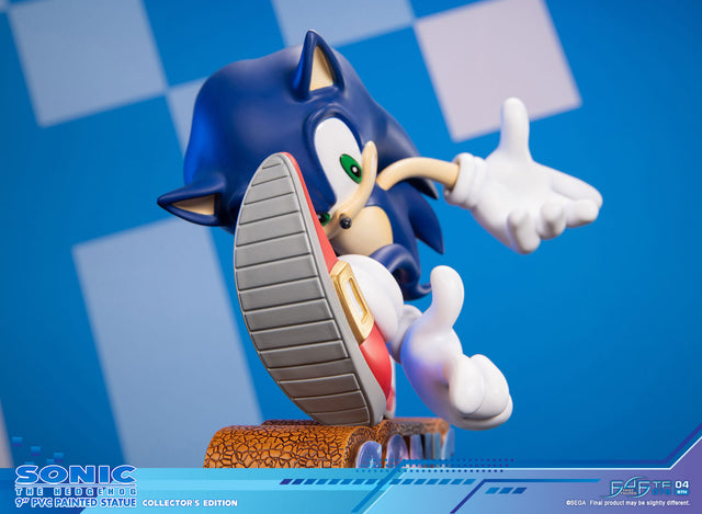 Sonic Adventure - Sonic the Hedgehog PVC (Collector's Edition) (sonicavt_ce_14.jpg)