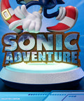 Sonic Adventure - Sonic the Hedgehog PVC (Collector's Edition) (sonicavt_ce_19.jpg)