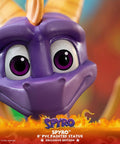 Spyro PVC (Exclusive) (spyropvc-exc-h-22.jpg)