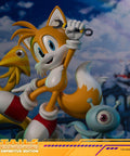 Sonic The Hedgehog - Tails Definitive Edition (tailsde_37.jpg)