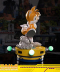 Sonic The Hedgehog - Tails Exclusive Edition  (tailsex_02.jpg)