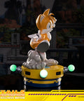 Sonic The Hedgehog - Tails Exclusive Edition  (tailsex_08.jpg)
