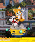 Sonic The Hedgehog - Tails Exclusive Edition  (tailsex_16.jpg)
