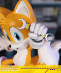 Sonic The Hedgehog - Tails Exclusive Edition  (tailsex_17.jpg)
