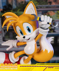 Sonic The Hedgehog - Tails Exclusive Edition  (tailsex_18.jpg)