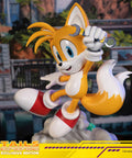 Sonic The Hedgehog - Tails Exclusive Edition  (tailsex_20.jpg)