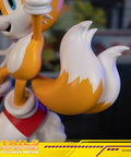 Sonic The Hedgehog - Tails Exclusive Edition  (tailsex_22.jpg)