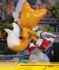 Sonic The Hedgehog - Tails Exclusive Edition  (tailsex_23.jpg)