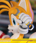 Sonic The Hedgehog - Tails Exclusive Edition  (tailsex_26.jpg)