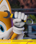 Sonic The Hedgehog - Tails Exclusive Edition  (tailsex_27.jpg)