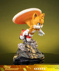 Sonic the Hedgehog 2 - Tails Standoff (tailsstandoff_st_01.jpg)