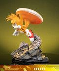 Sonic the Hedgehog 2 - Tails Standoff (tailsstandoff_st_07.jpg)