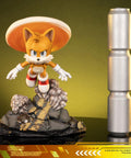 Sonic the Hedgehog 2 - Tails Standoff (tailsstandoff_st_09.jpg)