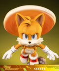 Sonic the Hedgehog 2 - Tails Standoff (tailsstandoff_st_10.jpg)