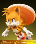 Sonic the Hedgehog 2 - Tails Standoff (tailsstandoff_st_11.jpg)