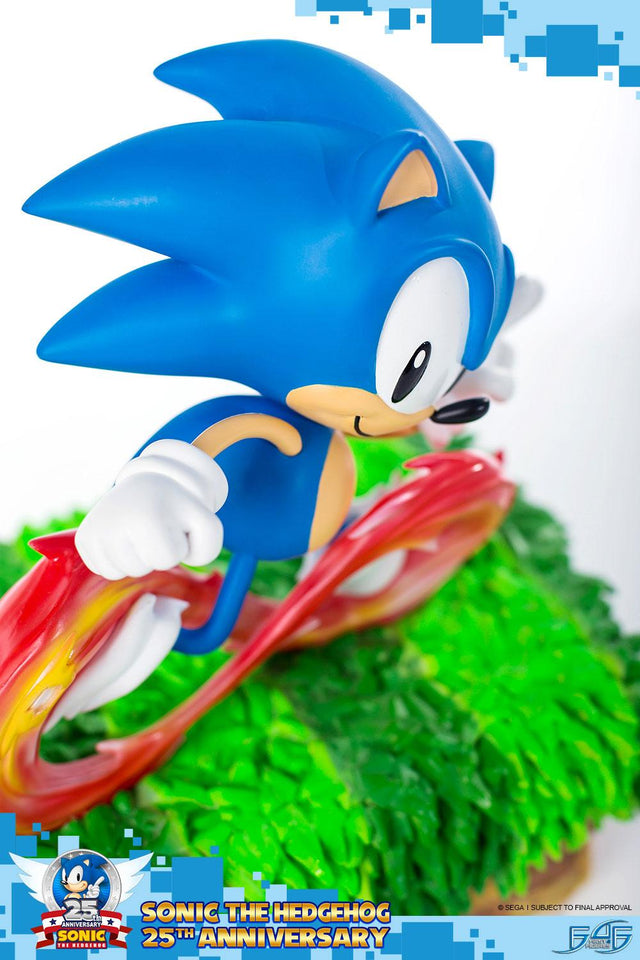Sonic the Hedgehog 25th Anniversary (Regular) (vertical_01_2_13.jpg)