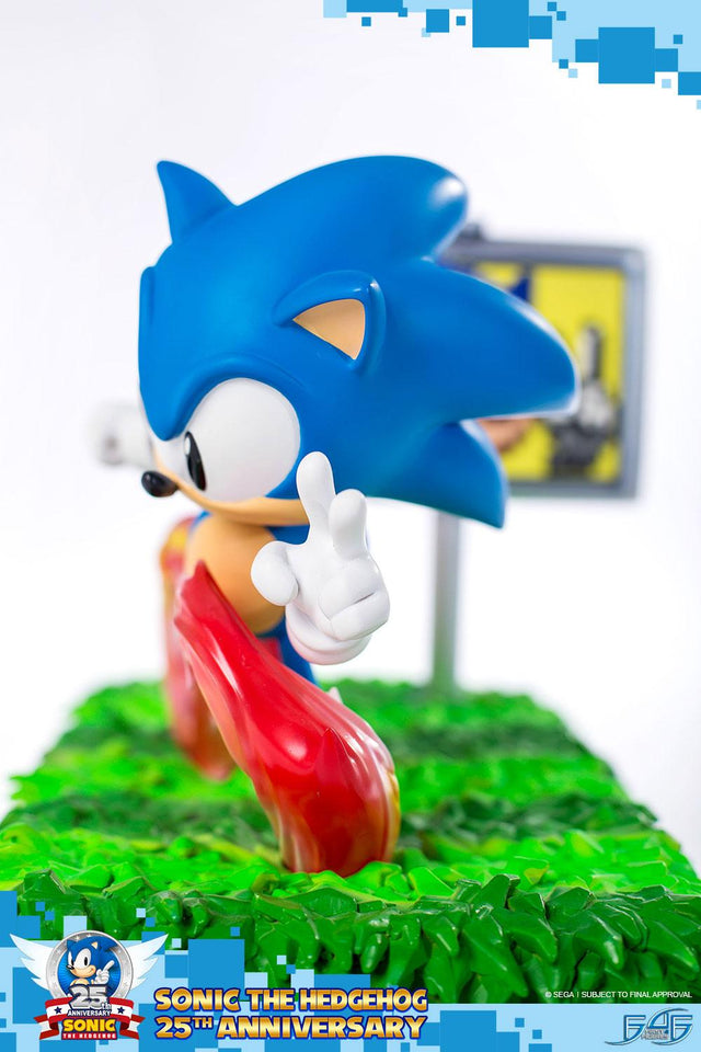 Sonic the Hedgehog 25th Anniversary (Regular) (vertical_02_2_13.jpg)