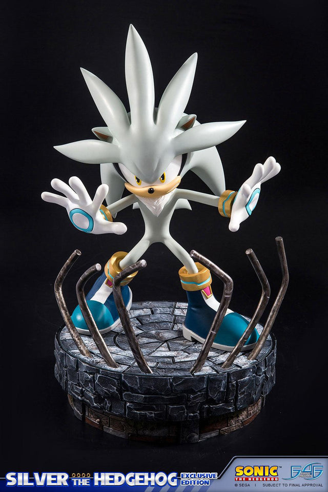 Silver the Hedgehog (Exclusive) (vertical_04_1_1.jpg)