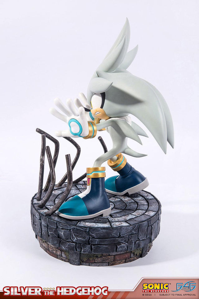 Silver the Hedgehog (Regular) (vertical_04_3.jpg)