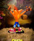 Crash Bandicoot PVC (Exclusive) (vertical_05_2_14.jpg)