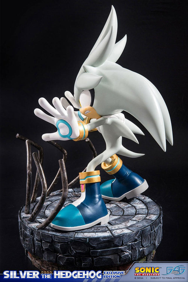 Silver the Hedgehog (Exclusive) (vertical_06_1_1.jpg)