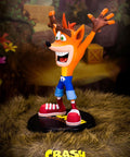 Crash Bandicoot PVC (Exclusive) (vertical_06_2_14.jpg)