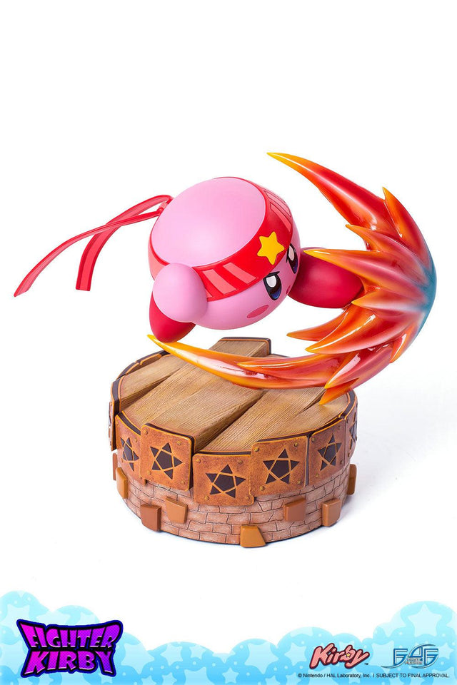 Fighter Kirby (Regular) (vertical_06_2_5.jpg)
