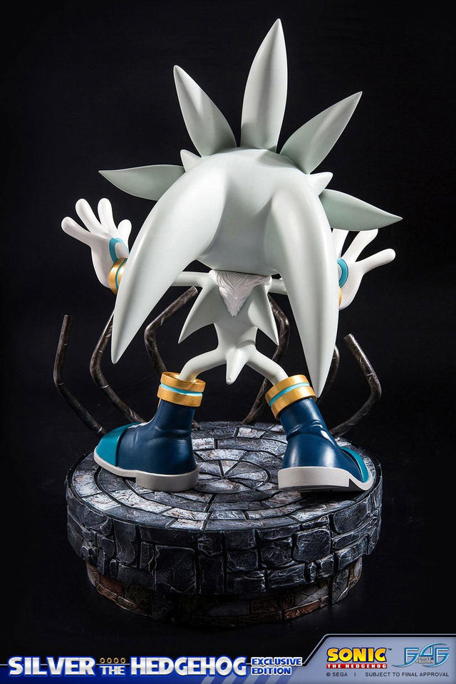 Silver the Hedgehog (Exclusive) (vertical_08_1_1.jpg)