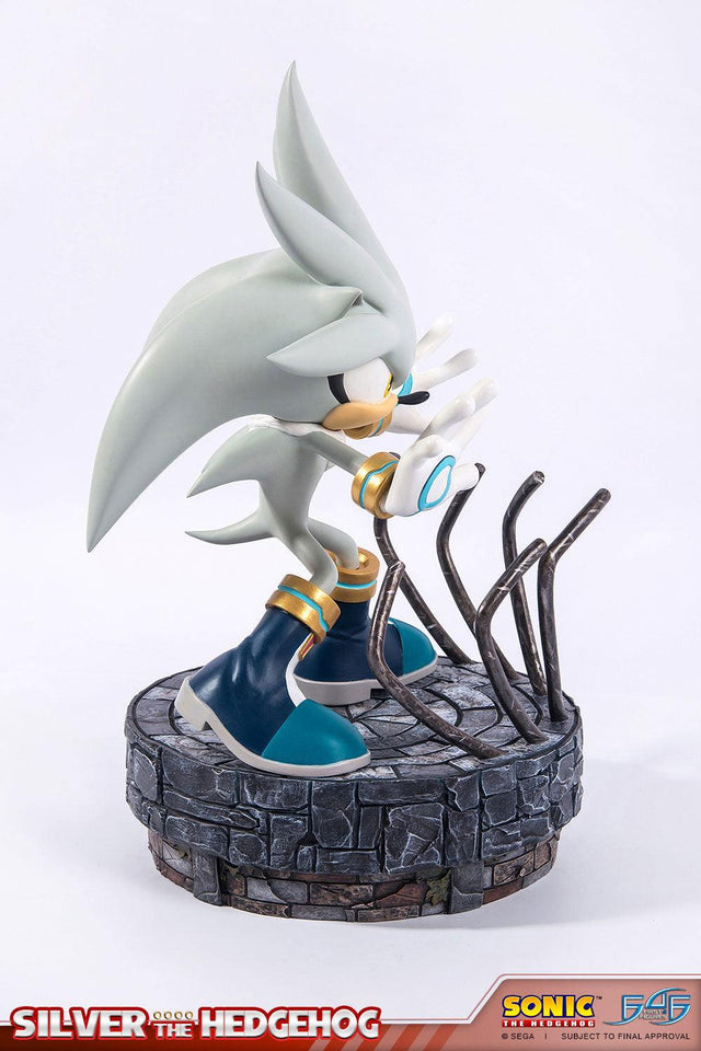 Silver the Hedgehog (Regular) (vertical_08_3.jpg)