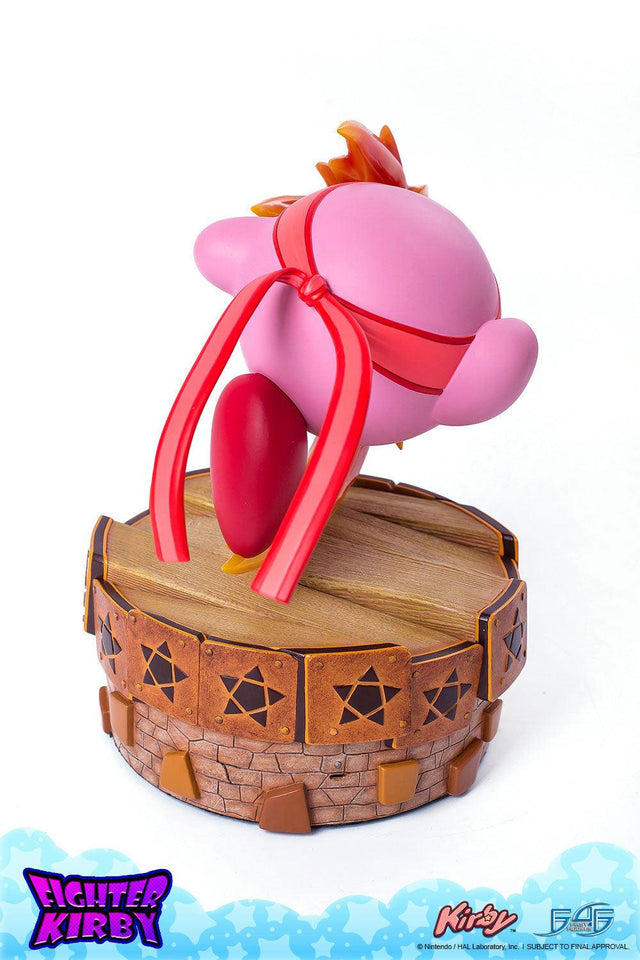 Fighter Kirby (Regular) (vertical_10_2_5.jpg)