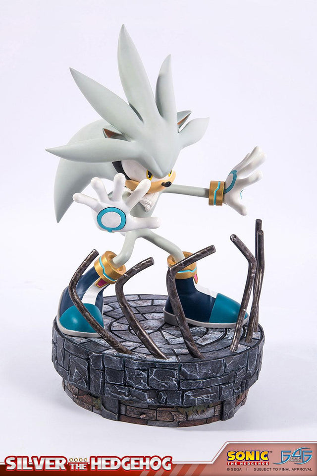 Silver the Hedgehog (Regular) (vertical_10_3.jpg)