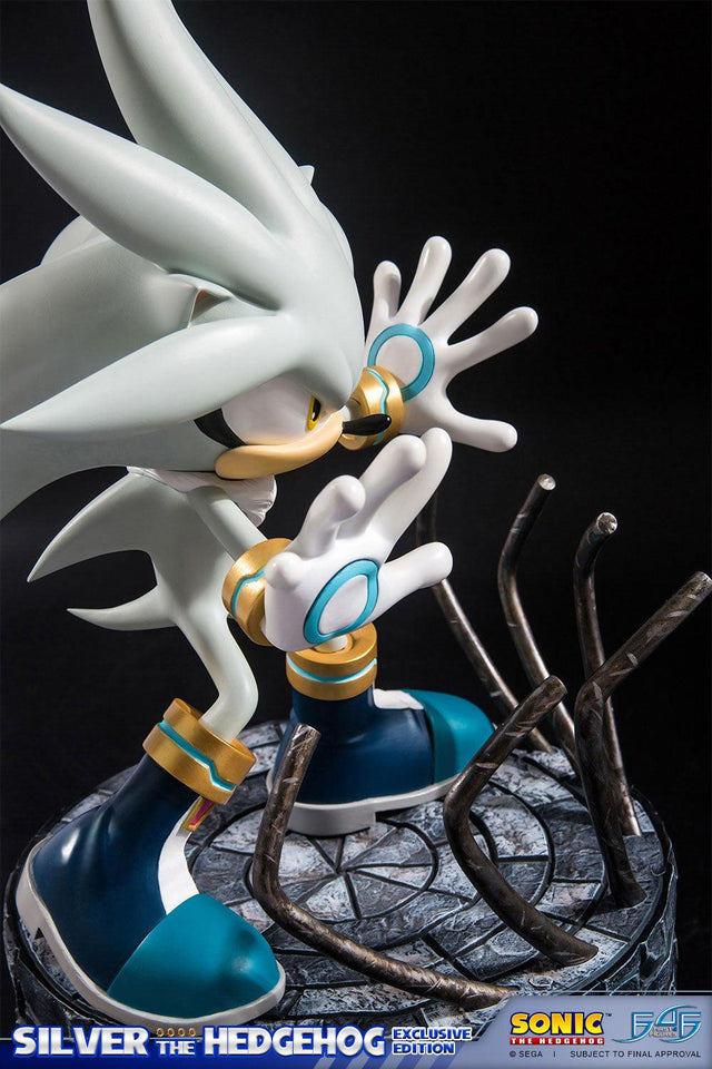 Silver the Hedgehog (Exclusive) (vertical_11_1_1.jpg)