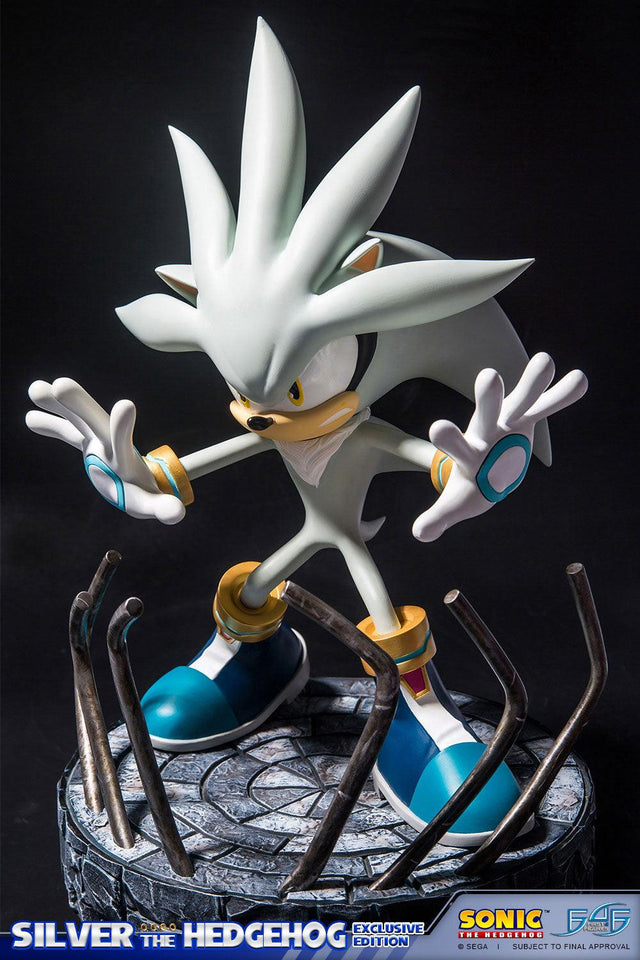 Silver the Hedgehog (Exclusive) (vertical_13_1_1.jpg)