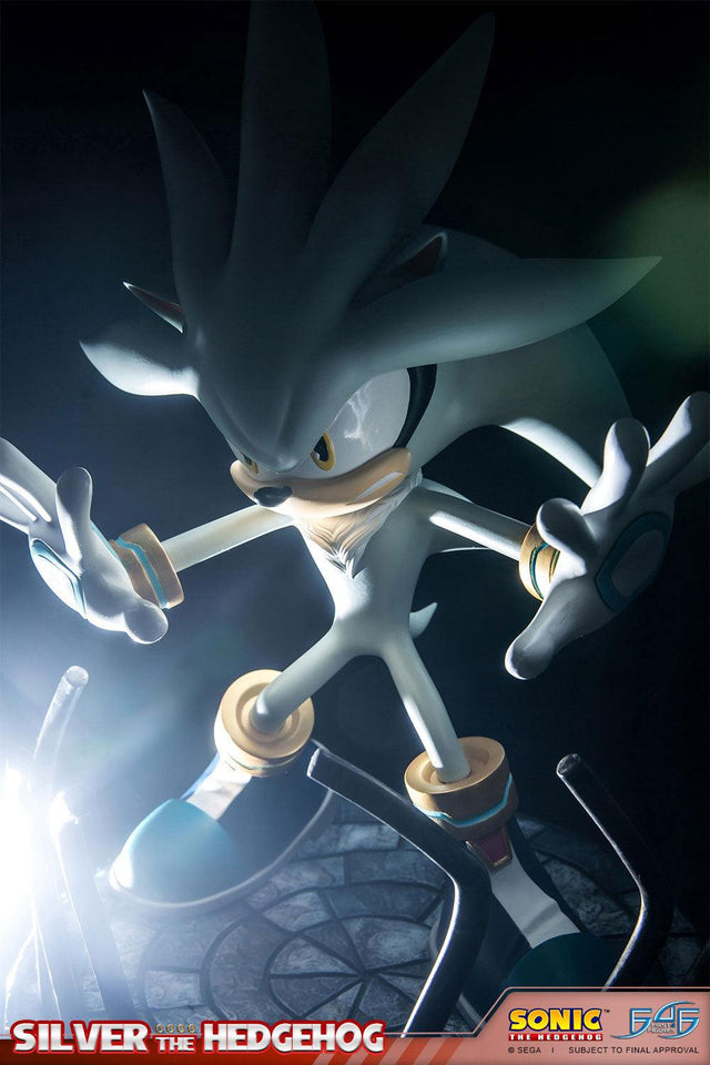 Silver the Hedgehog (Regular) (vertical_14_3.jpg)