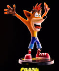 Crash Bandicoot PVC (Exclusive) (vertical_15_2_12.jpg)