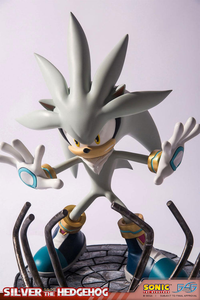 Silver the Hedgehog (Regular) (vertical_16_3.jpg)