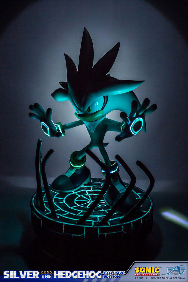 Silver the Hedgehog (Exclusive) (vertical_18_1_1.jpg)