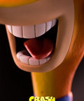 Crash Bandicoot PVC (Exclusive) (vertical_18_2_11.jpg)