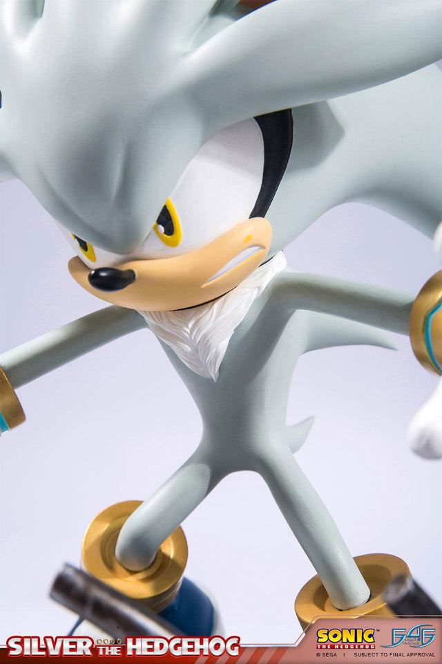 Silver the Hedgehog (Regular) (vertical_18_3.jpg)