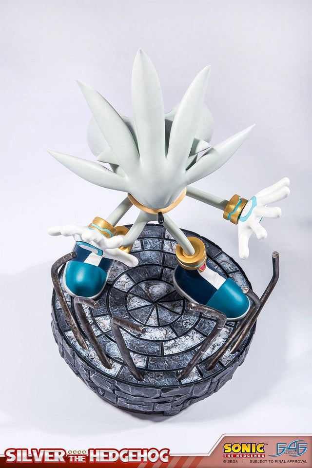 Silver the Hedgehog (Regular) (vertical_19_3.jpg)