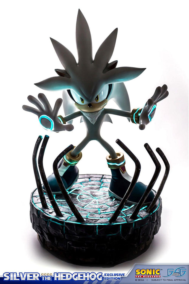 Silver the Hedgehog (Exclusive) (vertical_20_1_1.jpg)