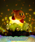 Warp Star Kirby (Exclusive) (wskirby-exc-h-27.jpg)